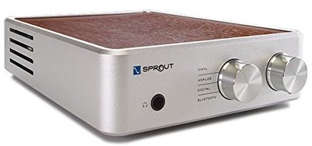 best budget speaker amp